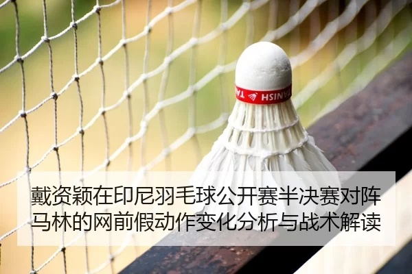 dai-zi-ying-zai-yin-ni-yu-mao-qiu-gong-kai-sai-ban-jue-sai-dui-zhen-ma-lin-de-wang-qian-jia-dong-zuo-bian-hua-fen-xi-yu-2-888.jpg