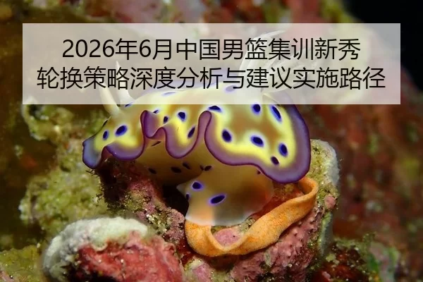 2026年6月中国男篮集训新秀轮换策略深度分析与建议实施路径
