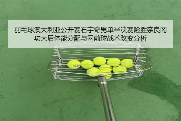 yu-mao-qiu-ao-da-li-ya-gong-kai-sai-shi-yu-qi-nan-dan-ban-jue-sai-xian-sheng-nai-liang-gang-gong-da-hou-ti-neng-fen-pei-2-802.jpg