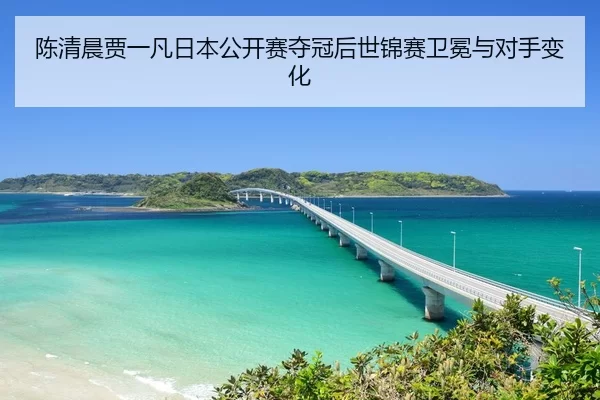 chen-qing-chen-jia-yi-fan-ri-ben-gong-kai-sai-duo-guan-hou-shi-jin-sai-wei-mian-yu-dui-shou-bian-hua-2-199.jpg